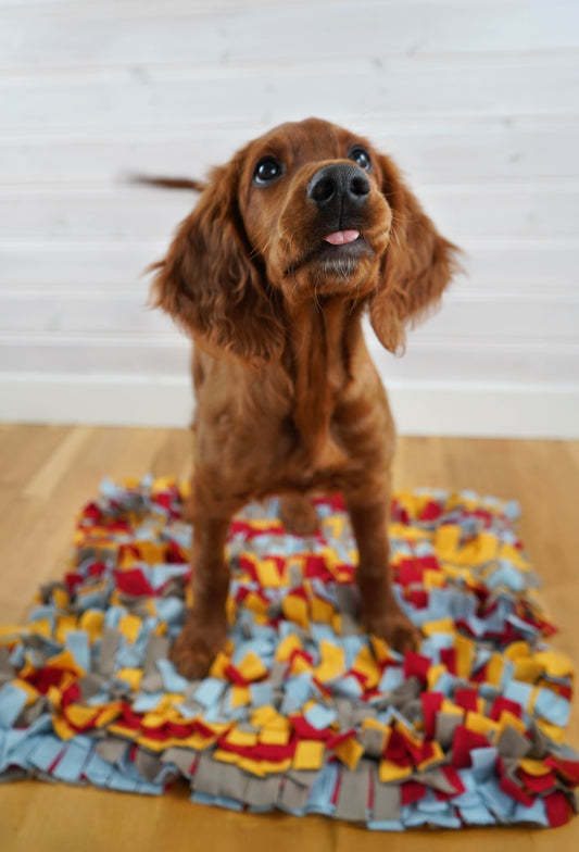 Snuffelmatta 50×60 cm – aktiveringsmatta i fleece