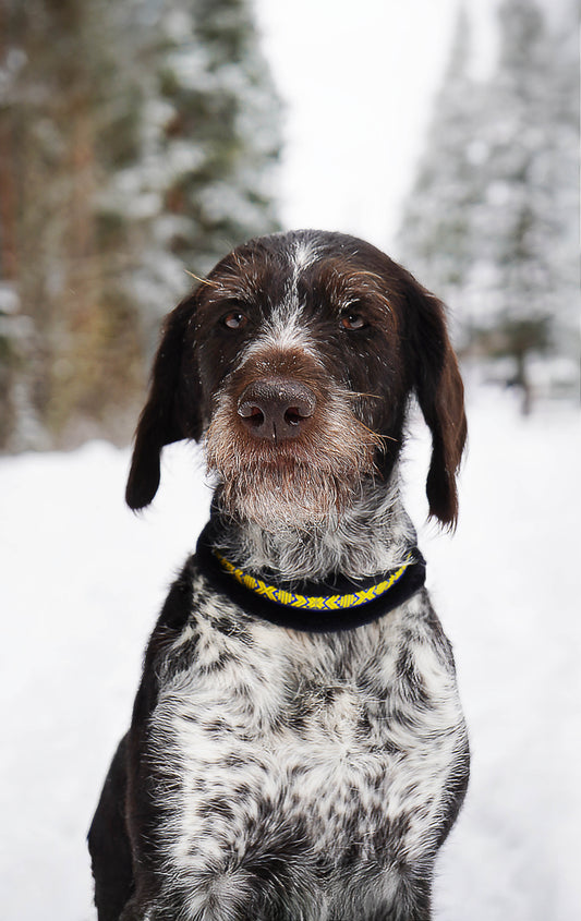 Mönstrat Halsband - Halvstryp