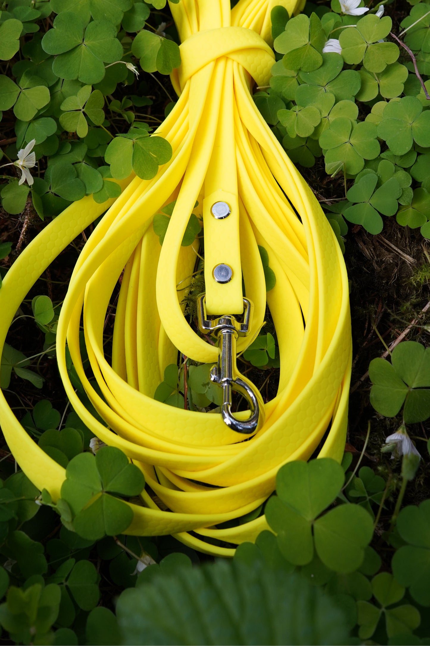 Spårlina i Hexa 16mm