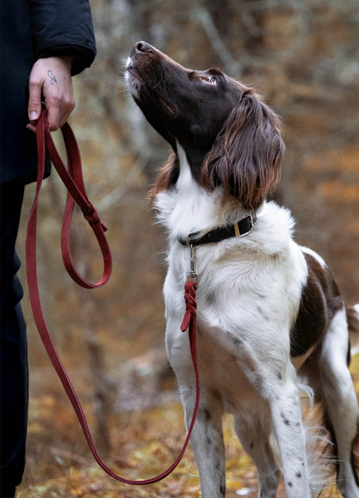 Läderkoppel - Hundkoppel i rött Pull-up Nubuckläder