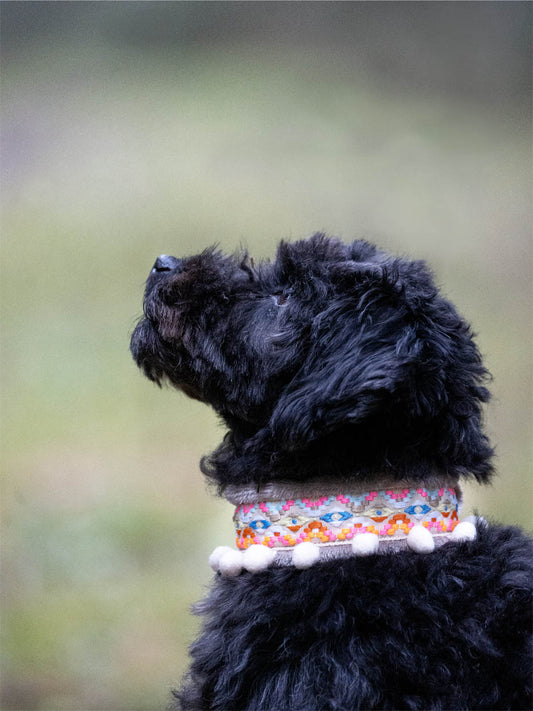 Mönstrat Halsband - Halvstryp