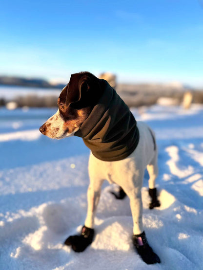 Skräddarsydd snood för hund – softshell & fleece