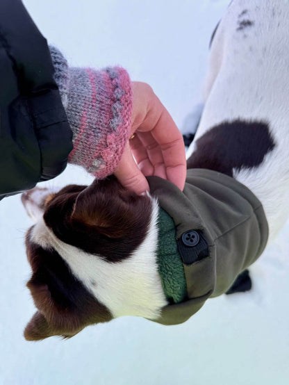 Skräddarsydd snood för hund – softshell & fleece