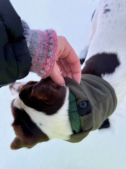 Skräddarsydd snood för hund – softshell & fleece