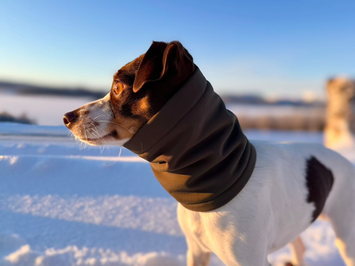 Skräddarsydd snood för hund – softshell & fleece