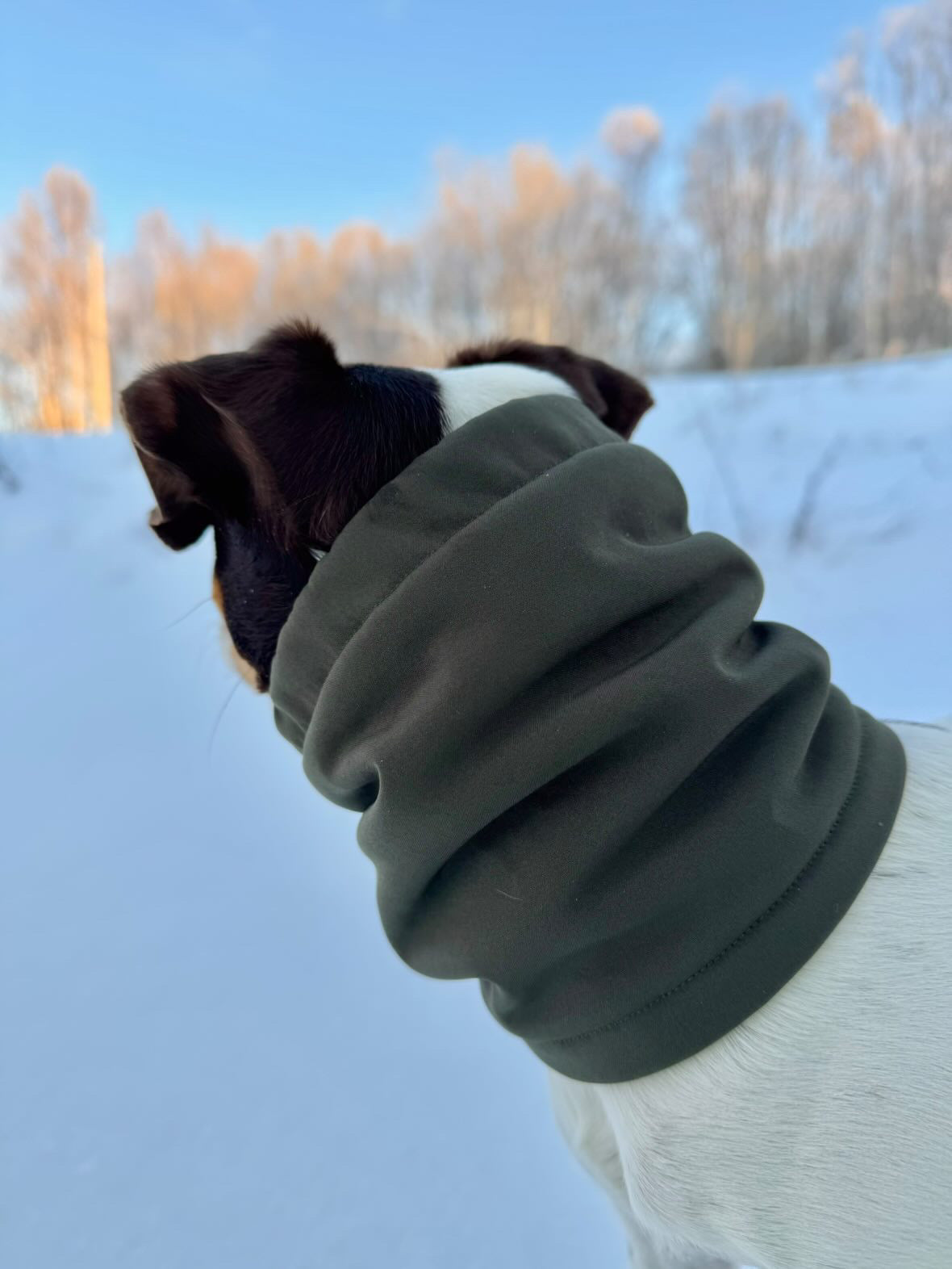 Skräddarsydd snood för hund – softshell & fleece