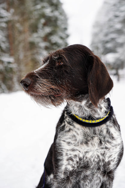 Mönstrat Halsband - Halvstryp