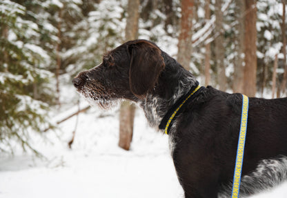 Mönstrat Halsband - Halvstryp