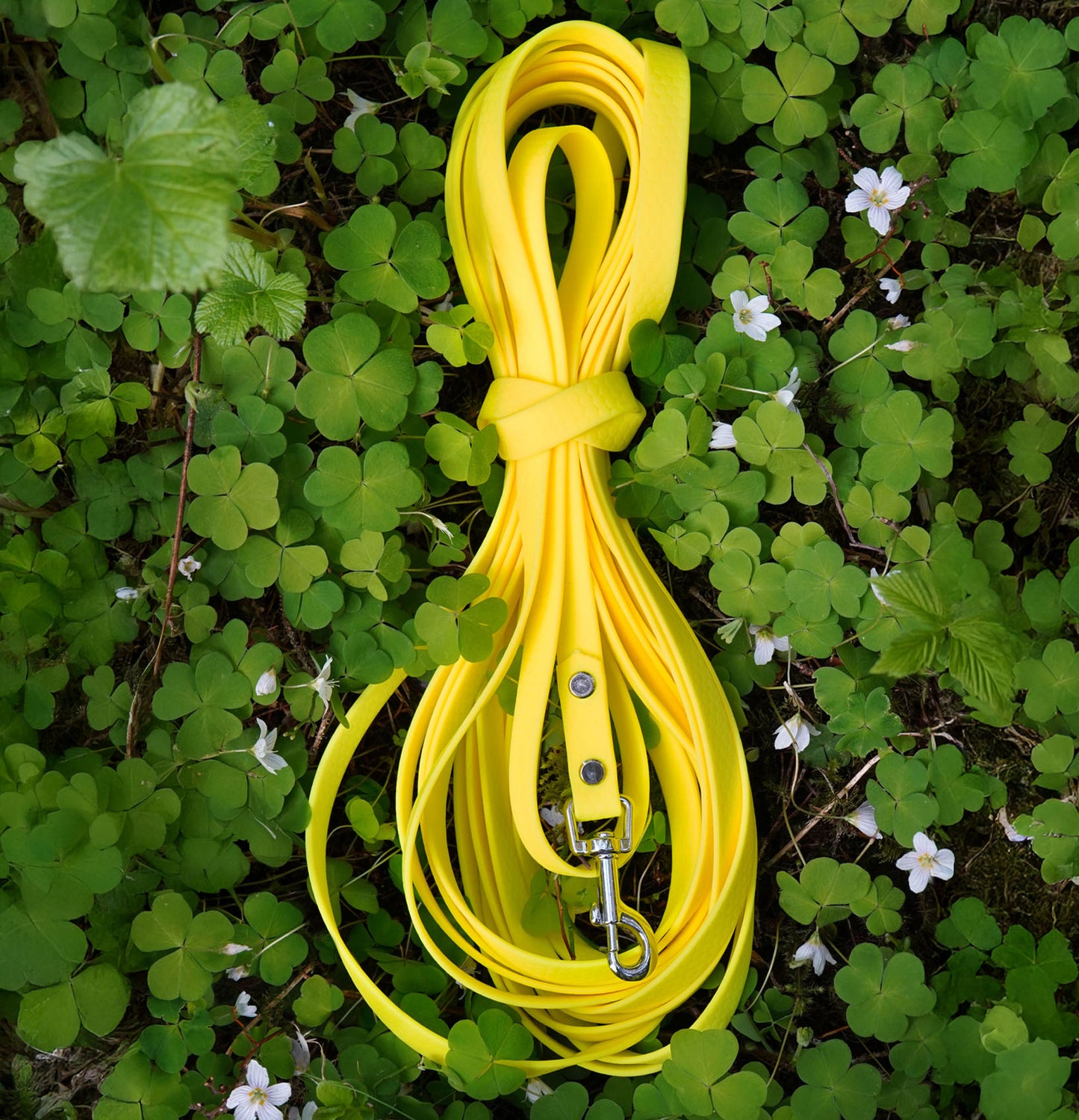 Spårlina i Hexa 16mm