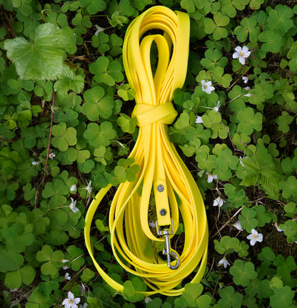 Spårlina i Hexa 16mm