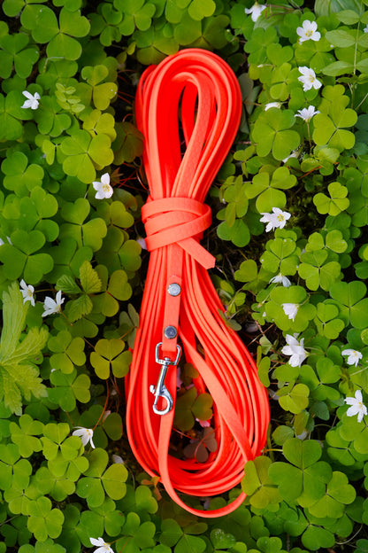 Spårlina i Hexa 10mm