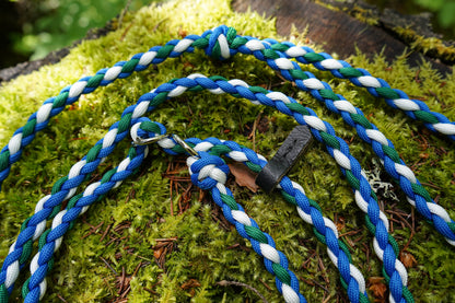 Retriverkoppel i Jämtlands färger