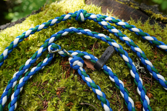 Retriverkoppel i Jämtlands färger