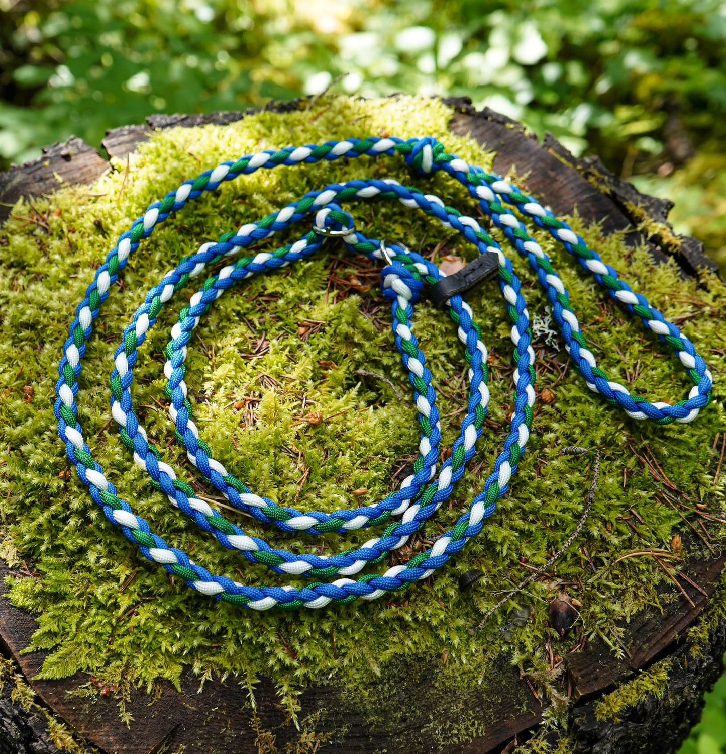 Retriverkoppel i Jämtlands färger