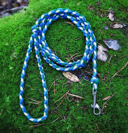 Koppel i Jämtlands färger