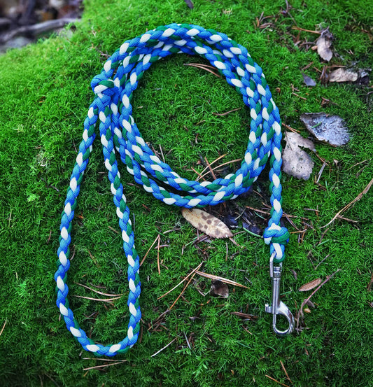 Koppel i Jämtlands färger