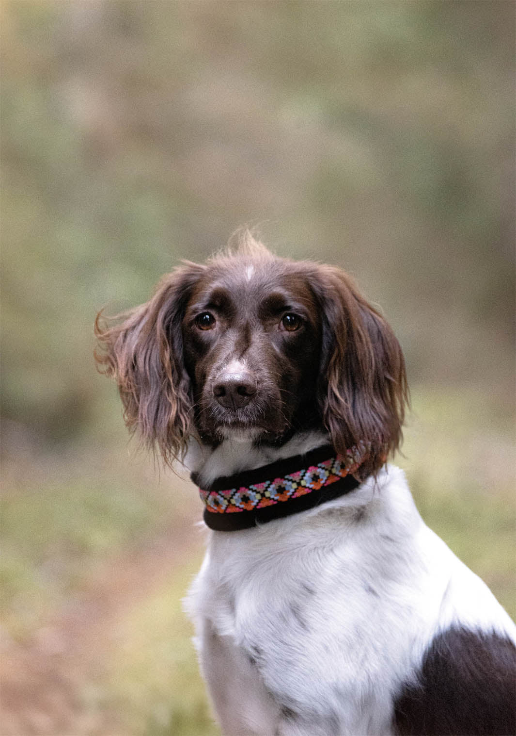 Mönstrat Halsband - Halvstryp