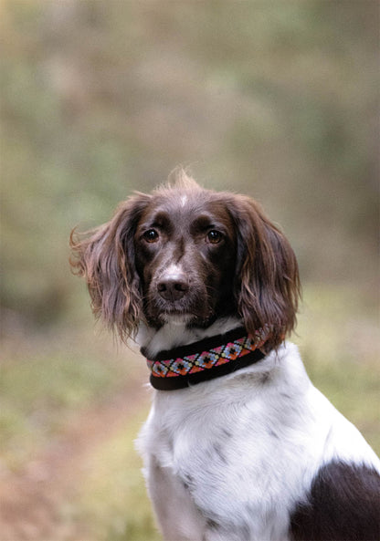 Mönstrat Halsband - Halvstryp