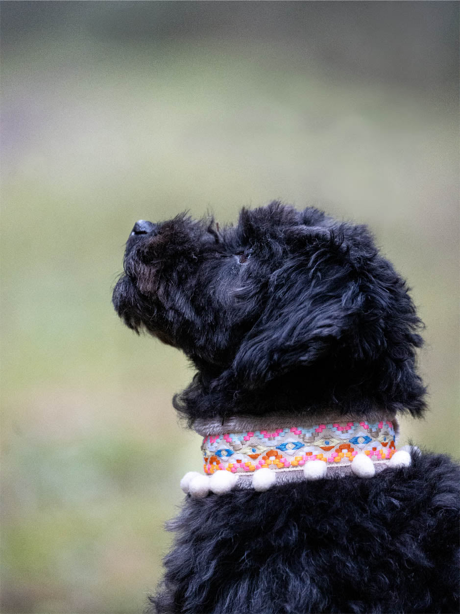 Mönstrat Halsband - Halvstryp