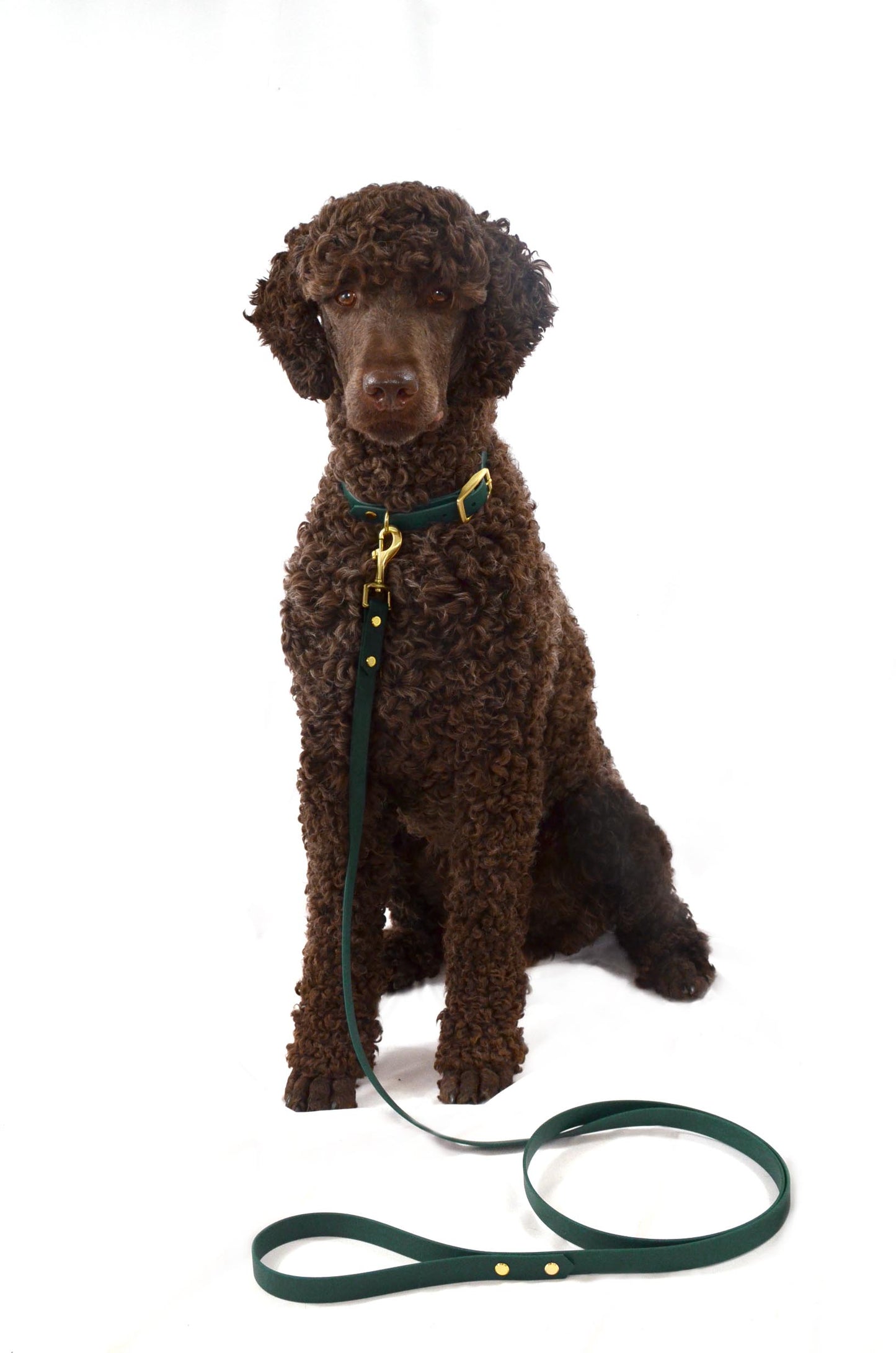 Handtillverkat Koppel i Biothane ® - Vit