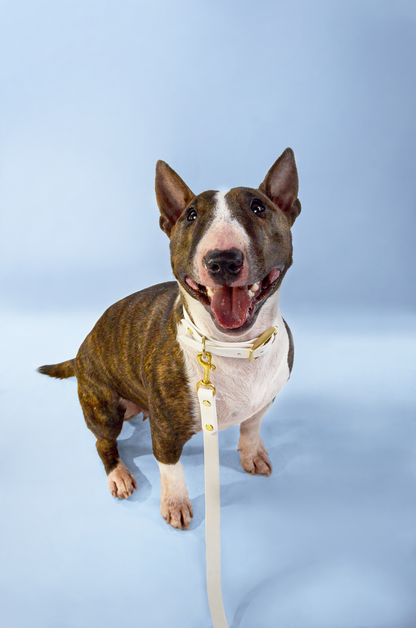 Handtillverkat Koppel i Biothane ® - Vit