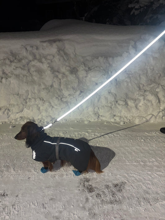 Reflexkoppel – valbar längd, hake och väktarhandtag