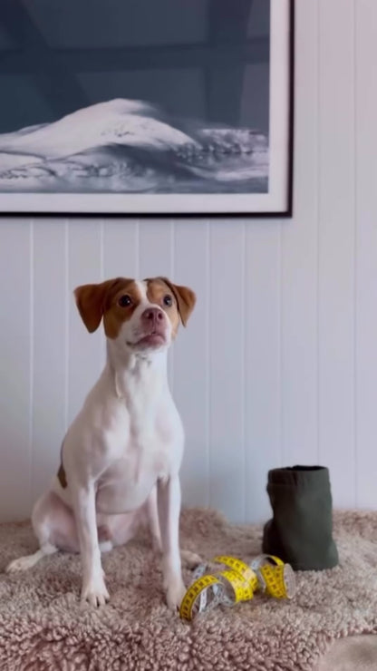 Skräddarsydd snood för hund – softshell & fleece